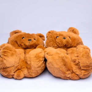 Teddy Bear Indoor